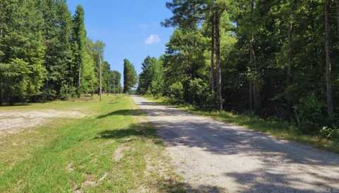 TBD Sassafras Trail, White Hall, AR 71602