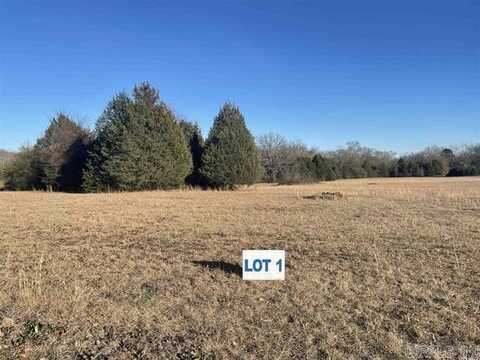 62 Addi, Conway, AR 72032