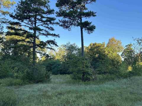 500 Hwy 336, Clinton, AR 72031