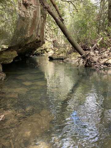 Lone Wolf Trail, Spencer, TN 38585