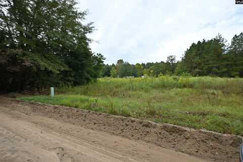 0 Leila Road, Gaston, SC 29053