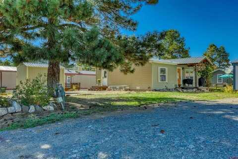 99 Homestead Drive, Pagosa Springs, CO 81147