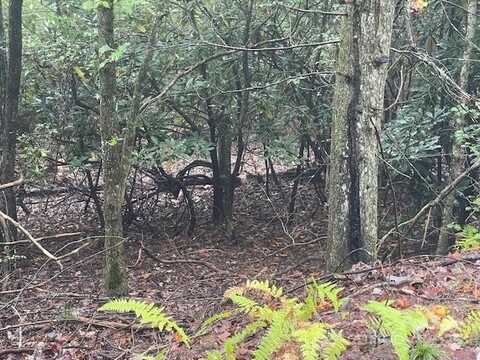 McDonald Court, Pisgah Forest, NC 28768