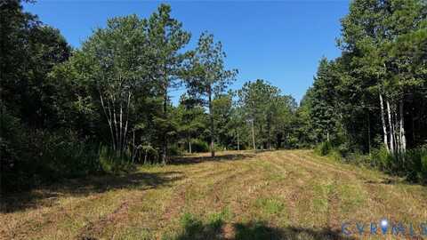 Old Shore Road, Blackstone, VA 23824