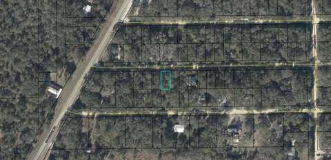 472nd Ave, Old Town, FL 32680