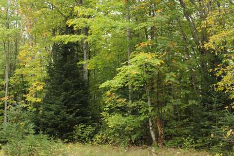 Tbd County Rd H-58, Grand Marais, MI 49839