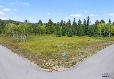 Lot 4 OTHER, Lead, SD 57754