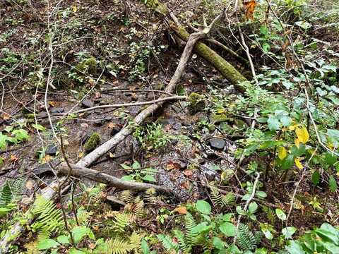 Whispering Ridge, Tuckasegee, NC 28783