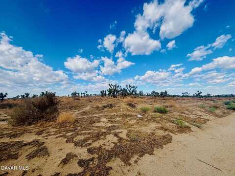 Vic Avenue M12 5th Stw, Palmdale, CA 93550