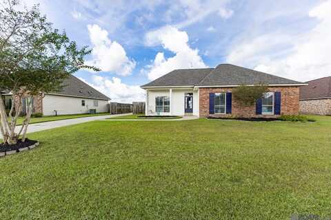 28303 Lake Borgne Dr, Livingston, LA 70754