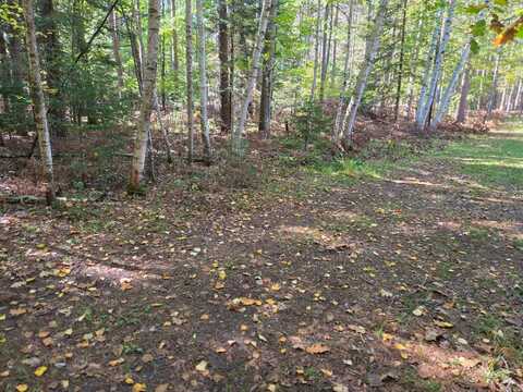Lot 3 SANDY LN, Land O Lakes, WI 54540