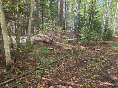 Lot 4 SANDY LN, Land O Lakes, WI 54540