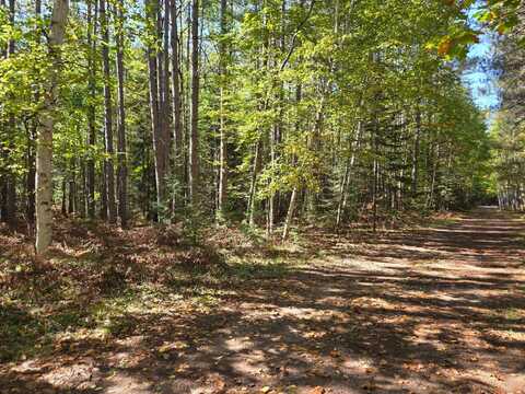 Lot 2 SANDY LN, Land O Lakes, WI 54540