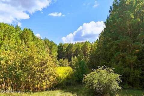 9631 Bissette Road, Middlesex, NC 27557