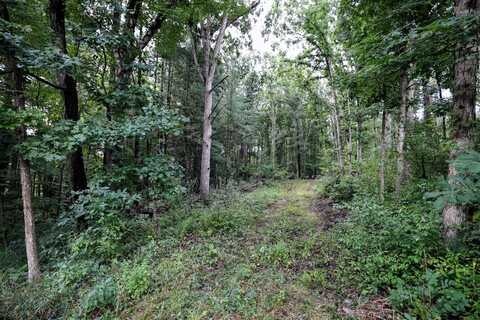 Vl CR388, Grand Junction, MI 49056