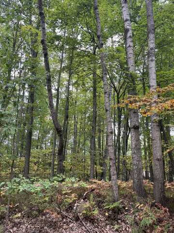 Lot 681 Elm Drive, Farwell, MI 48622