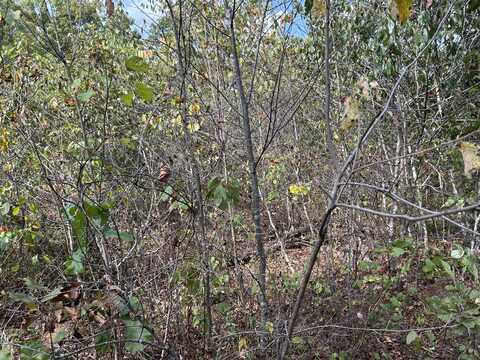 Tbd 7885 County Road 306 Pvt Drive-B, Ava, MO 65608