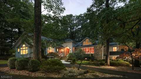 118 Wildwood Ter, Watchung, NJ 07069