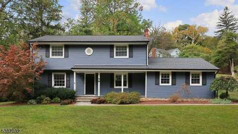 58 Seney Dr, Bernardsville, NJ 07924