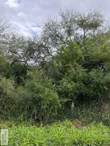 10 acres BARLOW RD., SAN BENITO, TX 78586