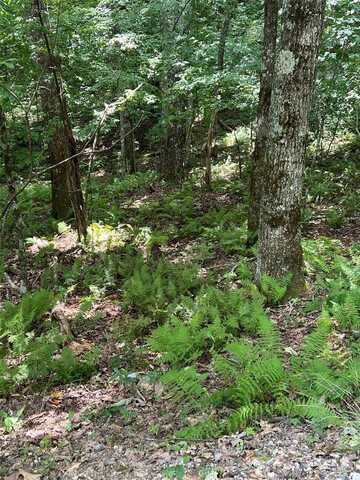 Lot 7 Sori Lane, Sapphire, NC 28774