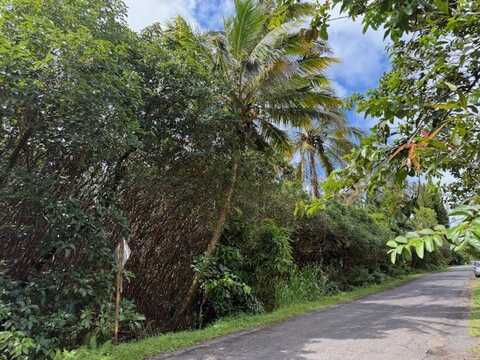 12-4293 OCEAN VIEW PKWY, Pahoa, HI 96778
