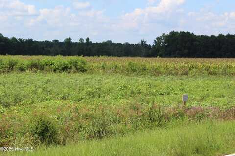 Lot 11 Whaley Road, Kinston, NC 28501