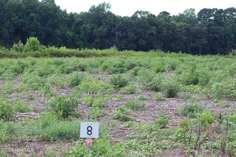 Lot 8 Whaley Road, Kinston, NC 28501