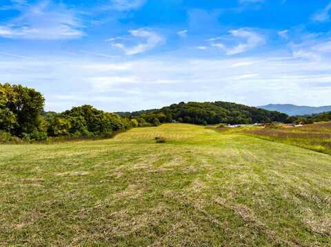 Tbd Bluff Road, Parrottsville, TN 37843
