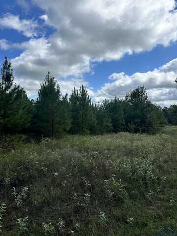 Tbd Hwy 155 South, Gilmer, TX 75644