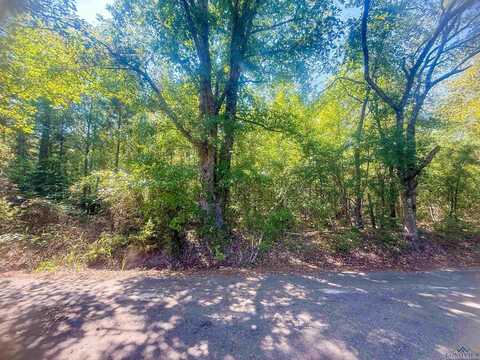 Tbd JONQUIL RD, Gilmer, TX 75645