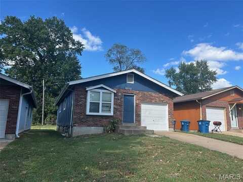 1131 Maple Avenue, Unincorporated, MO 63138