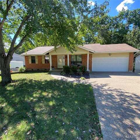 1275 Meadow Trail Lane, Fenton, MO 63026