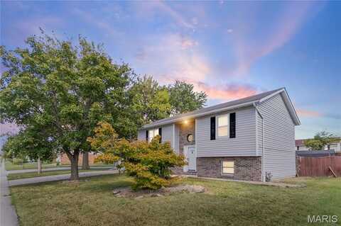 2932 Mockingbird Lane, Granite City, IL 62040
