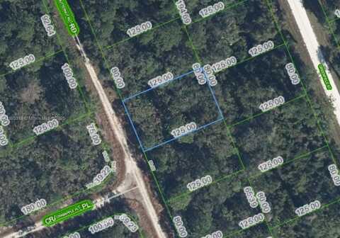 1131 BUTTERNUT RD, Lake Placid, FL 33852