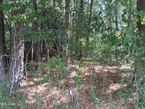 Cottonwood Drive, Natchez, MS 39120