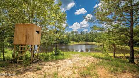 Mt Zion Road, Canton, MS 39046