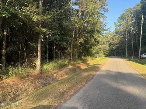 E Lincoln Street, Bay Saint Louis, MS 39520