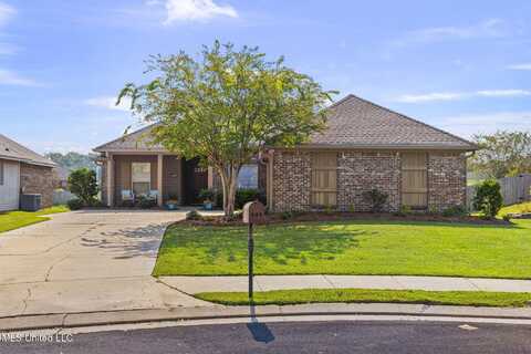 449 Spring Hill Point, Brandon, MS 39047