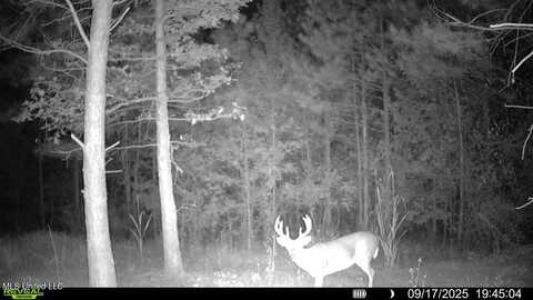 County Rd 5034, Kosciusko, MS 39090