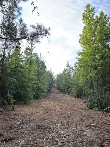County Road 5034, Kosciusko, MS 39090
