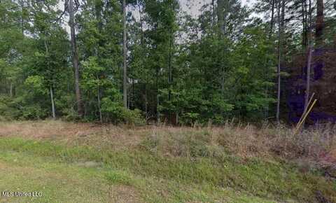 W Neshoba Street, Bay Saint Louis, MS 39520