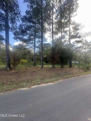 0 N Enoch Grove Road, Florence, MS 39073