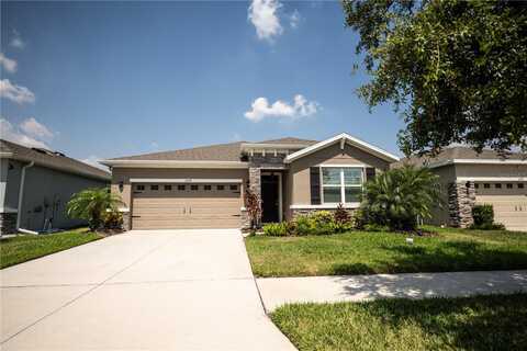 11939 CROSS VINE DRIVE, RIVERVIEW, FL 33579
