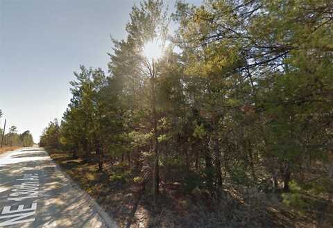 Lot 3 NE 130TH AVENUE, WILLISTON, FL 32696