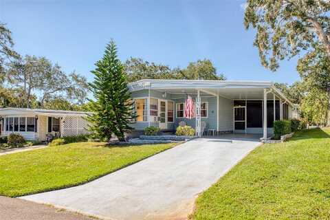 33 NEW FAWN COURT, SAFETY HARBOR, FL 34695