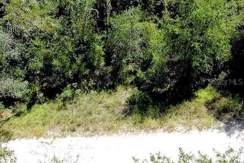 0 NE 138TH TERRACE, WILLISTON, FL 32696