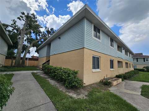 540 GOLDEN RAINTREE PLACE, BRANDON, FL 33510