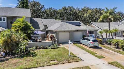 136 HUNTER COURT, PALM HARBOR, FL 34684