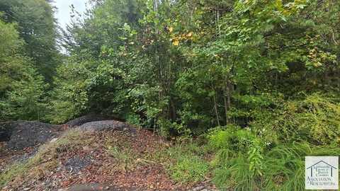 0 Revere Drive, Danville, VA 24541